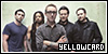 If I could find you now || The Yellowcard Fanlisting